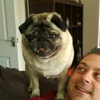 96288027 10158270895857429 4115095680551223296 n nc cat102ccb1 3 nc siddbb9e7 nc ohc EC3 E Qkakrw AAX8 6 Gp H nc htscontent dub4 1 xxoh5010dffe03c6f83e50bf8529ae197e3aoe612 E1825