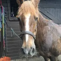 117337943 10157545807588733 7479191349225623052 n nc cat104ccb1 3 nc siddbb9e7 nc ohc DFG1t XUI Qs EAX8e 6 Rj nc htscontent dub4 1 xxohbbb5099c9f3b2088d175c2edf9ad78a5oe612 E4575