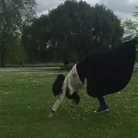 13697102 10208255030626262 9107409108535043410 n nc cat106ccb1 3 nc siddbb9e7 nc ohc Q Qj OV2 Y7 X Qo AX8 KXDNQ nc htscontent flhr4 3 fnaoh8f00ceb6918a2cb61bbe82543f4eb6e7oe612 E297 E